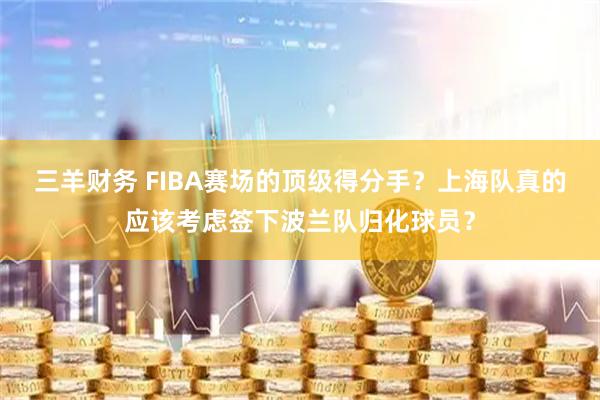 三羊财务 FIBA赛场的顶级得分手？上海队真的应该考虑签下波兰队归化球员？