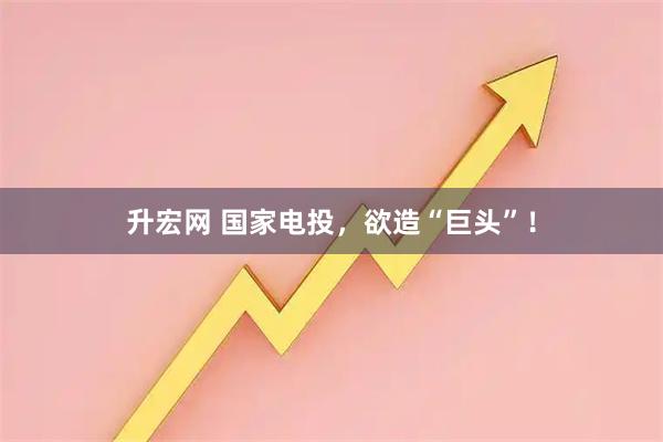 升宏网 国家电投，欲造“巨头”！